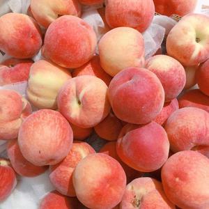 动漫 得到 可爱 讨厌
